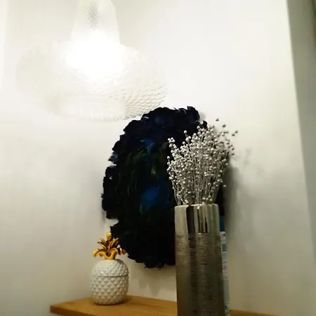 Le Palais Des Parcs - Chic - Centre - Face Au Parc ヴィシー